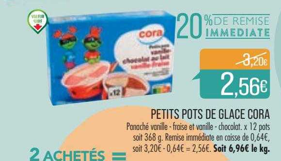 petits pots de glace cora