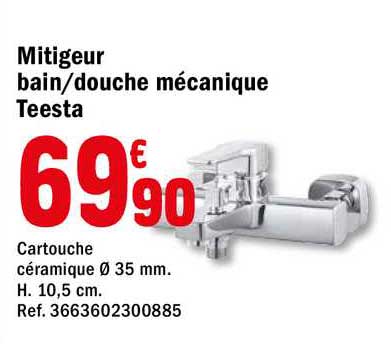 Mitigeur Bain Douche Mécanique Teesta