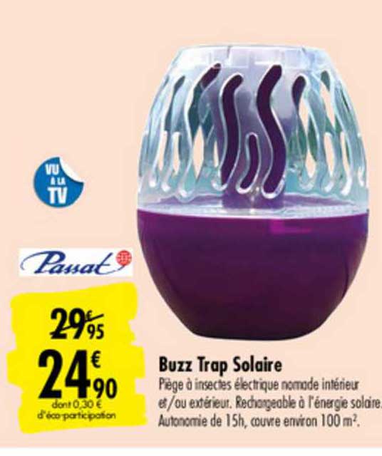 buzz trap solaire