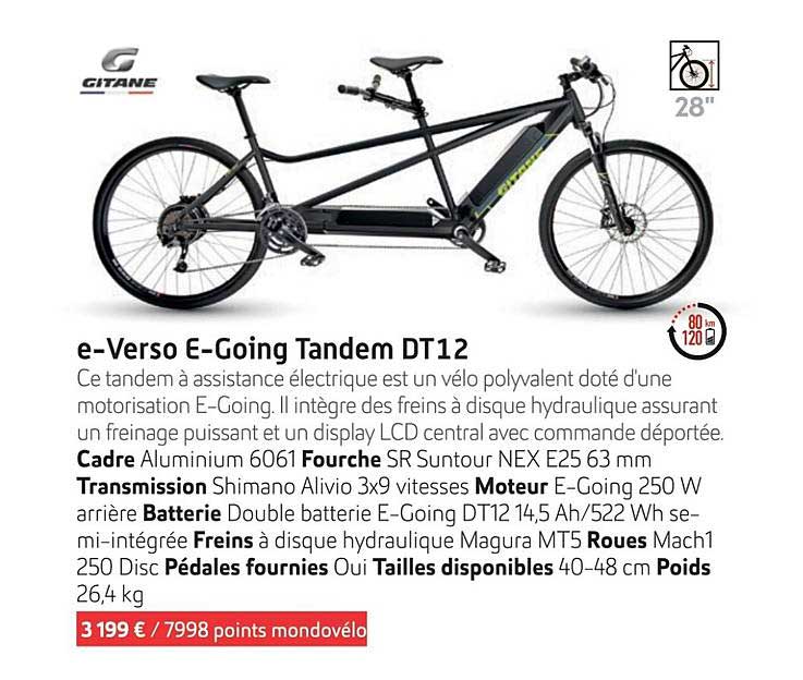 e-verso e-going tandem dt12