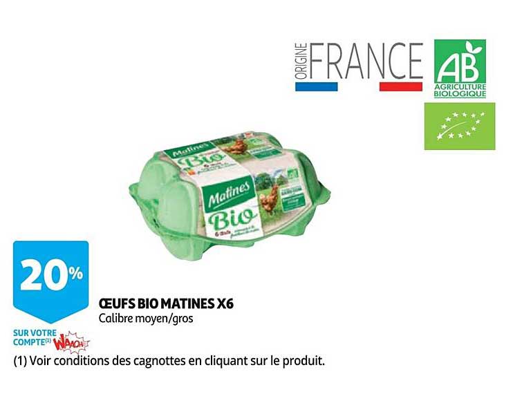 œufs Bio Matines X6
