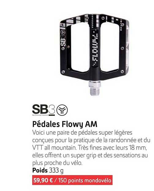 pédales flowy am