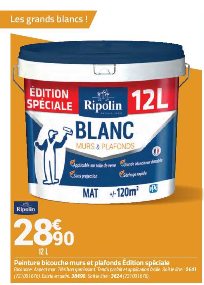 peinture bicouche murs et plafons édition spéciale