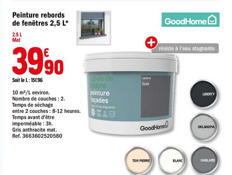 peinture rebords de fenêtres 2.5 l goodhome
