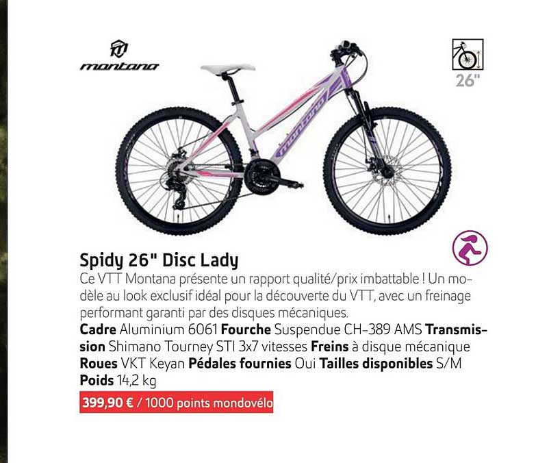 Spidy 26" Disc Lady