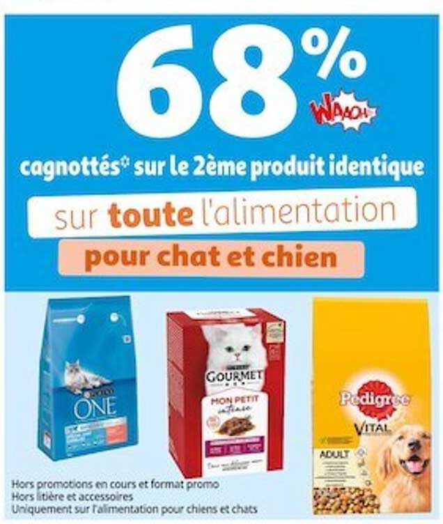 l'alimentation pour chat et chien