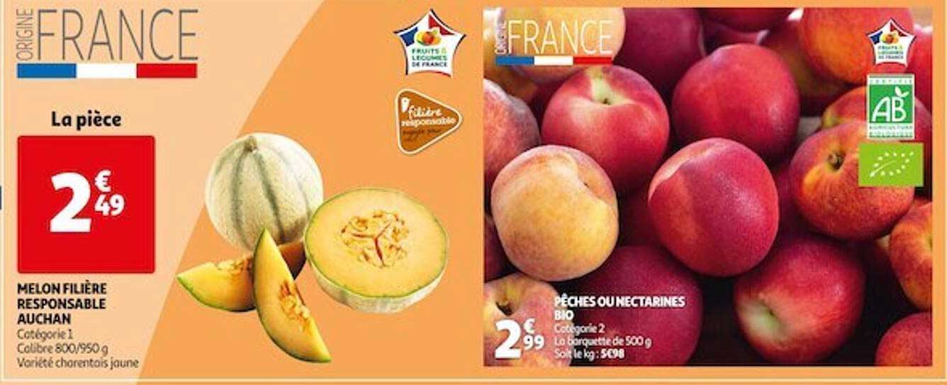 Melon Filière Responsable Auchan