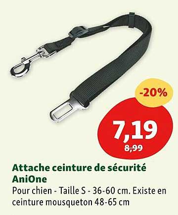 attache centure de sécurité anione