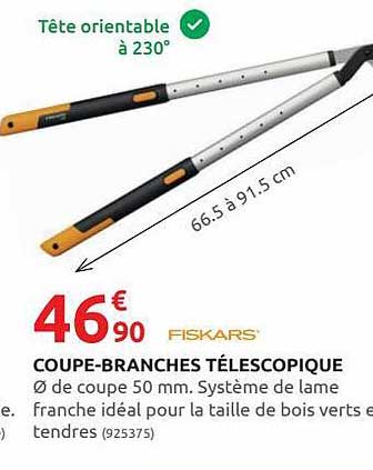 coupe-branches télescopique fiskars
