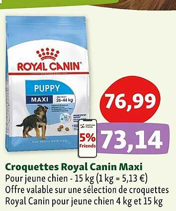croquettes royal canin maxi
