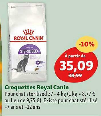 croquettes royal canin