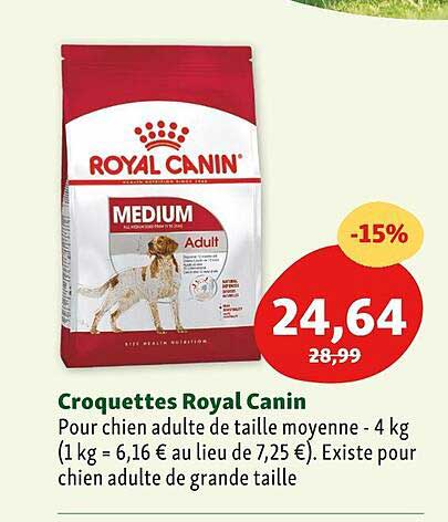 croquettes royal canin