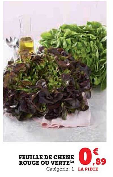 Feuille De Chêne Rouge Ou Verte