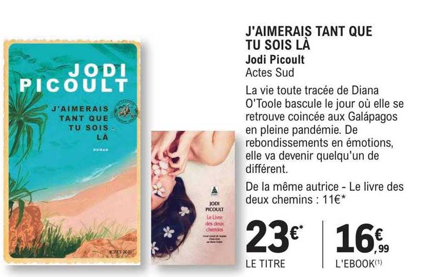 j'aimerais tant que tu sois là - jodi picoult