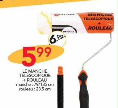 Le Manche Téléscopique + Rouleau