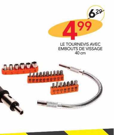 le tournevis avec embouts de vissage