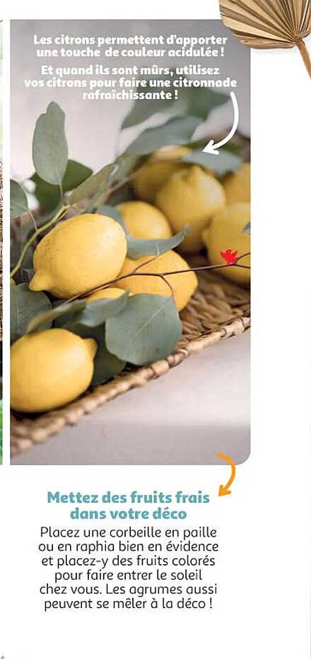 Mettez Des Fruits Frais Dans Votre Déco