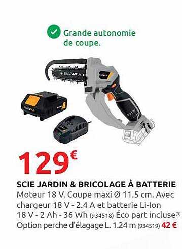Scie Jardin & Bricolage à Batterie