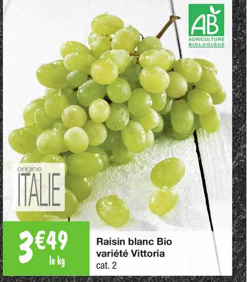 raisin blanc bio variété vittoria