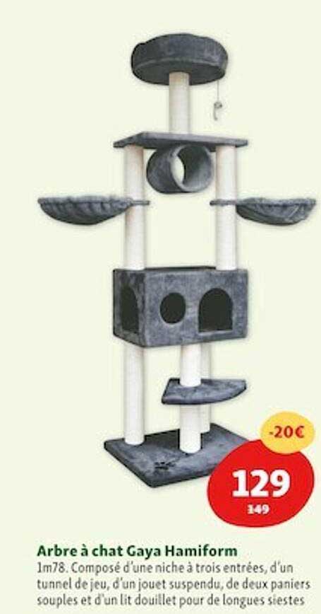 arbre à chat gaya hamiform
