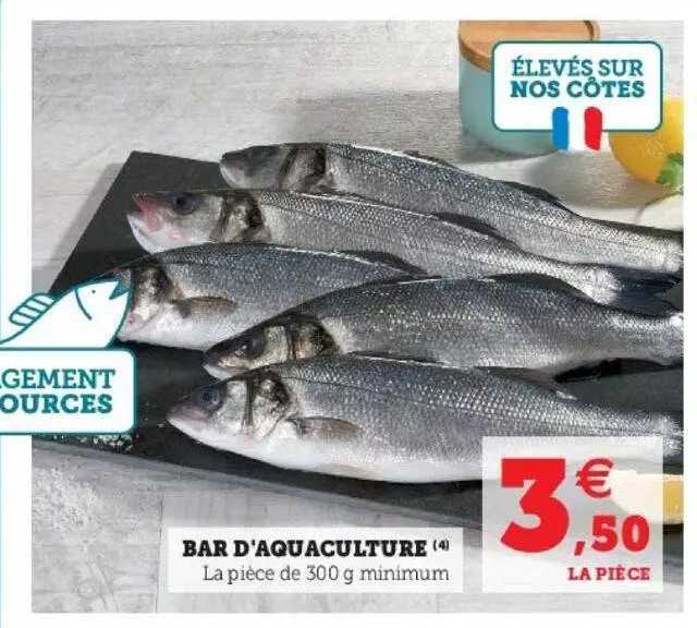 Bar D'aquaculture