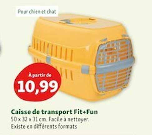 caisse de transport fit+fun