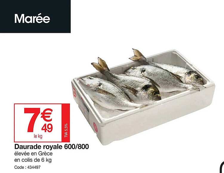 Daurade Royale 600-800