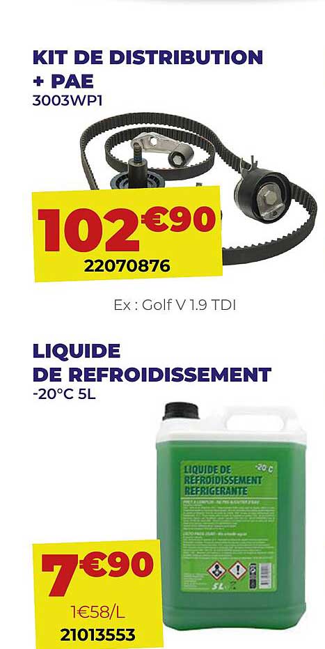 kit de distribution + pae, liquide de refroidissement