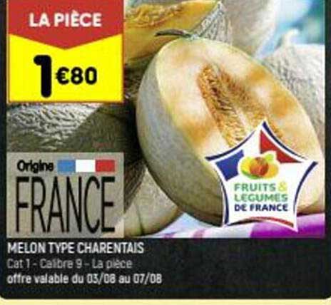 melon type charentais