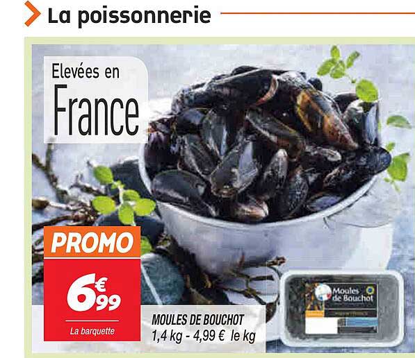 Moules De Bouchot