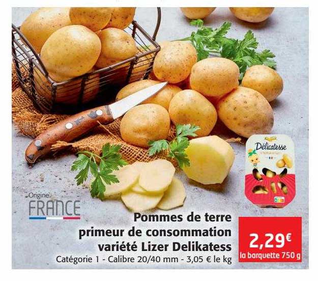 pommes de terre primeur de consommation variété lizer delikatess