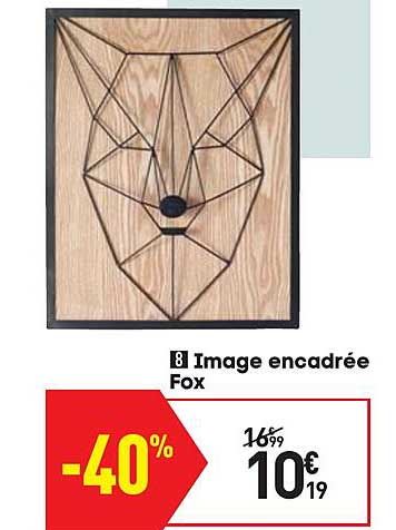 image encadrée fox