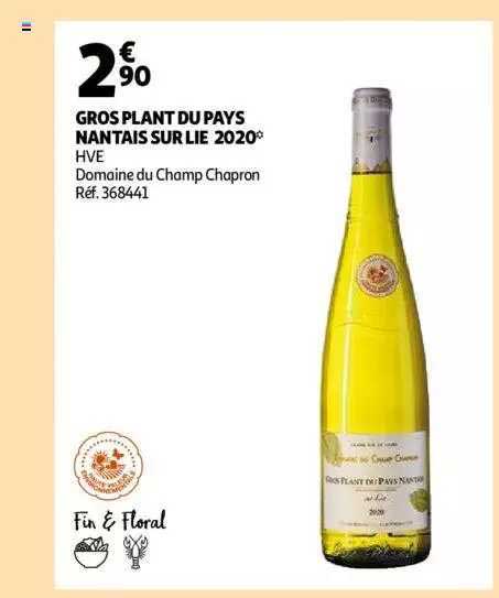 gros plant du pays nantais sur lit 2020