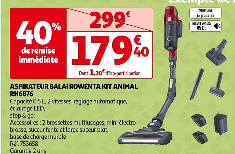 Aspirateur Balai Rowenta Kit Animal Rh6876