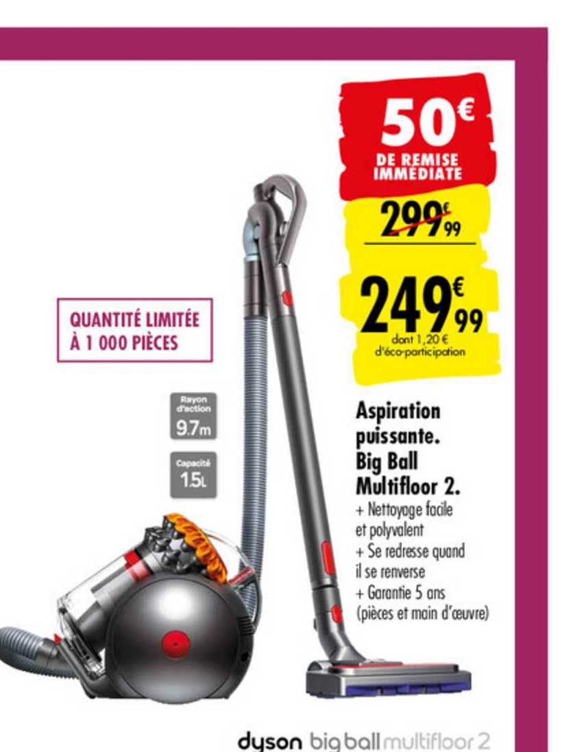 aspiration puissante big ball multifllor 2