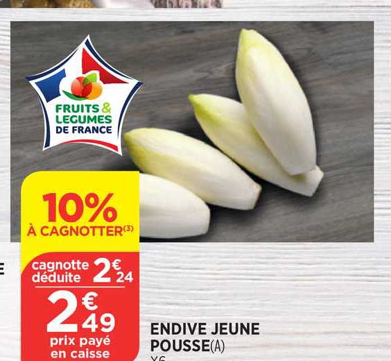 Endive Jeune Pousse