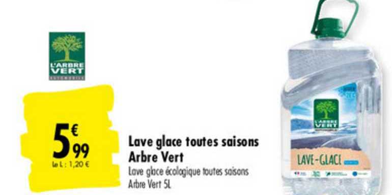 lave glace toutes saisons arbre vert
