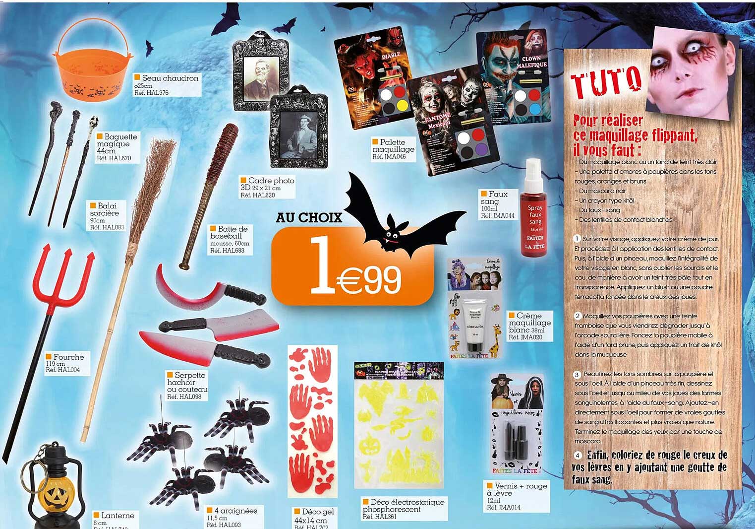 seau chaudron, baguette magique, balai sorcière, fourche, lanterne, 4 araignées, serpette hachoir ou couteau, batte de baseball, cadre photo 3d, palette maquillage, faux sang,  crème maquillage blanc