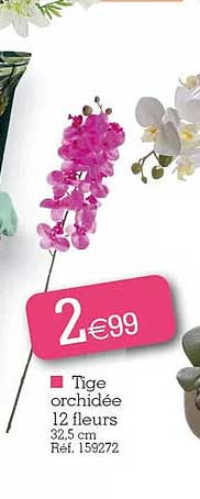 tige orchidée 12 fleurs