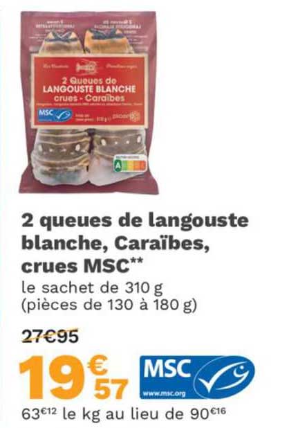 2 Queues De Langouste Blanche, Caraïbes, Crues Msc