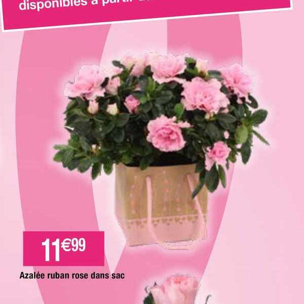 azalée ruban rose dans sac