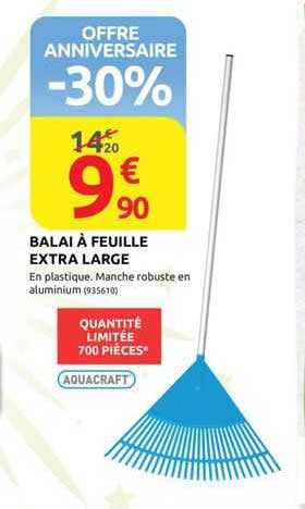 Balai à Feuille Extra Large