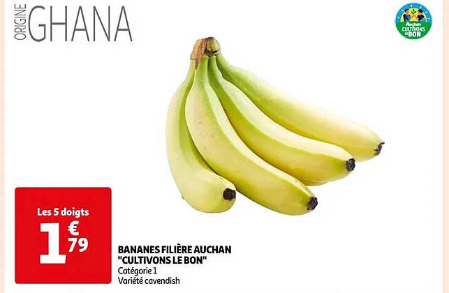 bananes filière auchan "cultivons le bon"