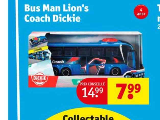 bus man lion's coach dickie