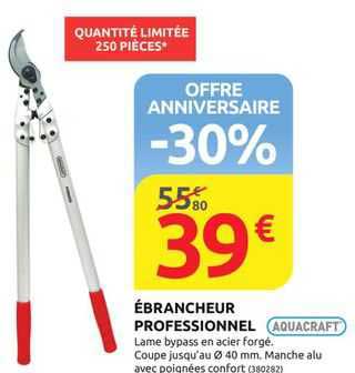 ébrancheur professionnel aquacraft