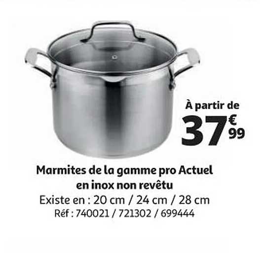 marmites de la gamme pro actuel en inox non revêtu