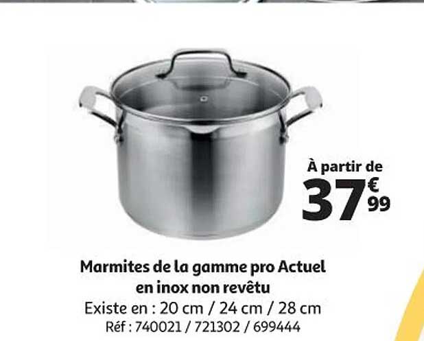 marmites de la gamme pro actuel en inox non revêtu