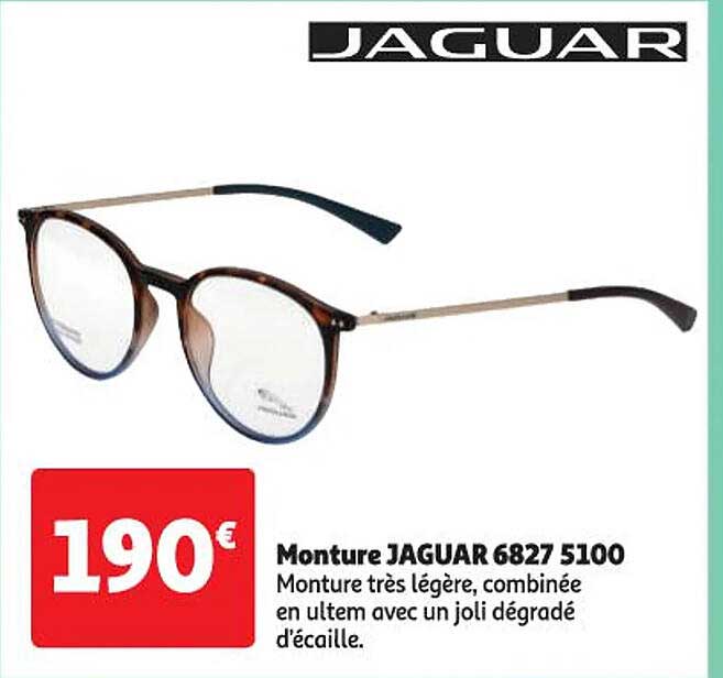 monture jaguar 6827 5100