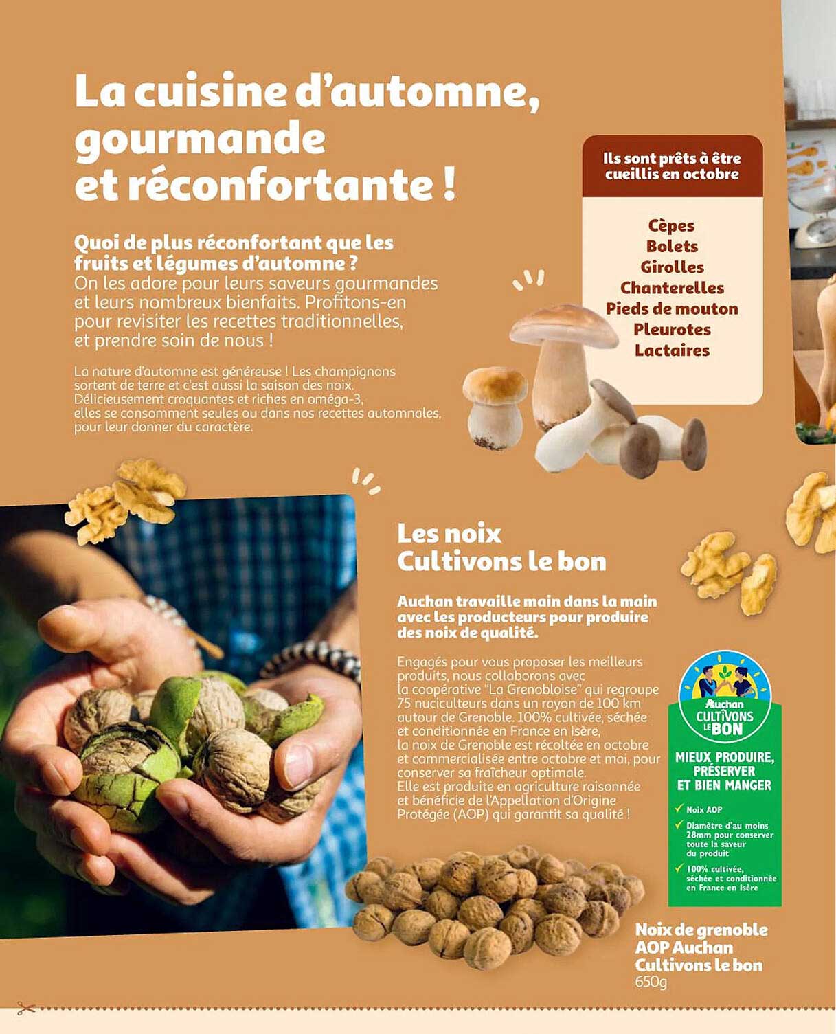 noix de grenoble aop auchan cultivons le bon