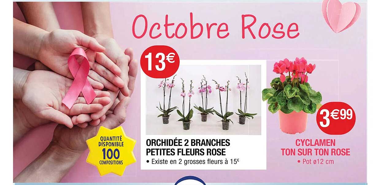 orchidée 2 branches petites fleurs rose, cyclamen ton sur ton rose